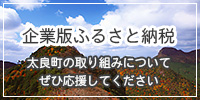 企業版ふるさと納税