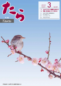 表紙