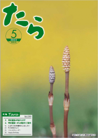 表紙