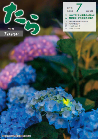 表紙