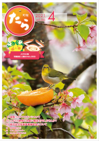 表紙