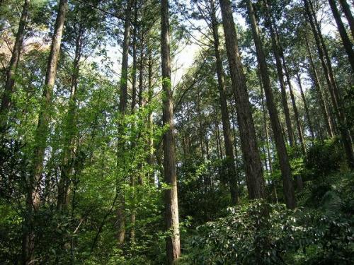 h21mori2-1-3 h21mori2-1-3